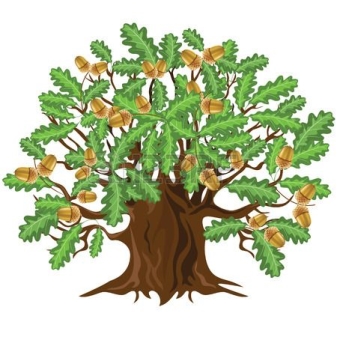 старый дуб рисунок - Поиск в Google | Illustration, Oak tree, Tree